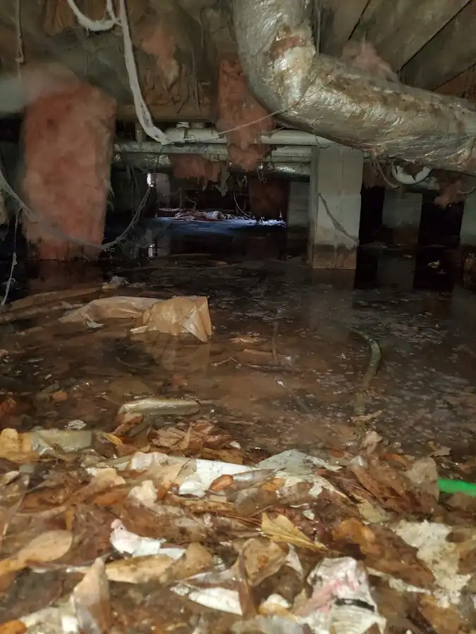Crawl space flood assessment for Leak Detection & Repair in Oshkosh
